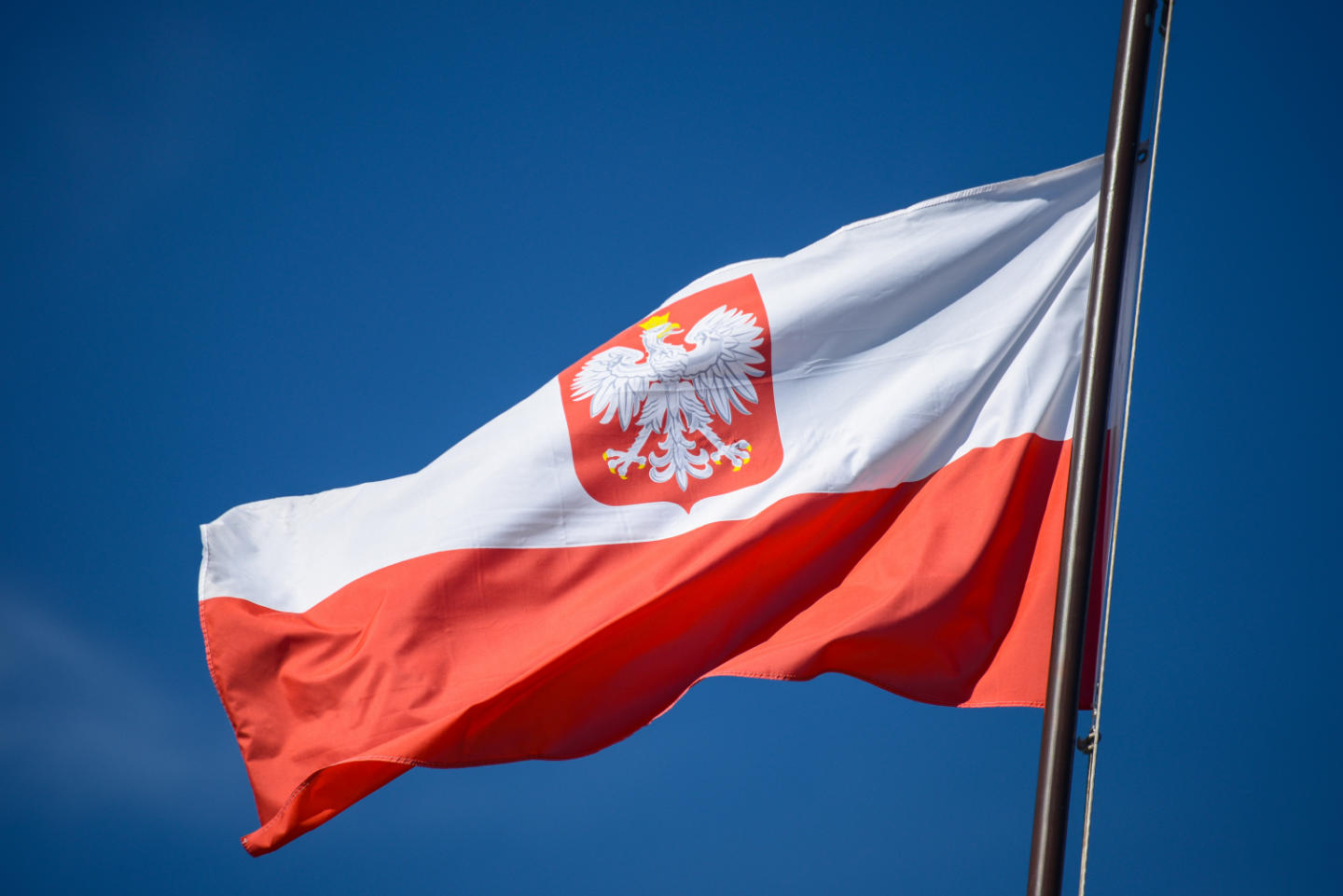 Flaga polski